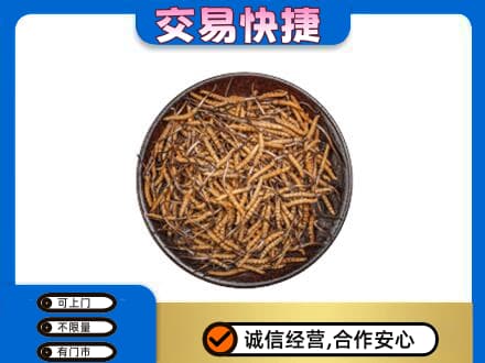 成都青白江区高价回收散虫草